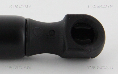 TRISCAN 8710 16261 Gasfjäder, bagageutrymme