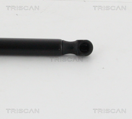 TRISCAN 8710 16262 Gasfjäder, bagageutrymme