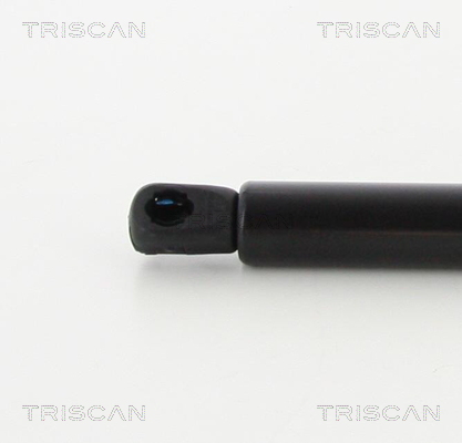 TRISCAN 8710 16269 Gasfjäder, bagageutrymme