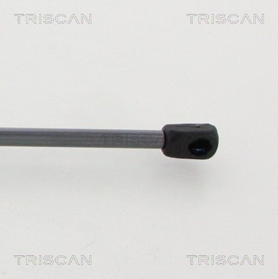 TRISCAN 8710 16273 Gasfjäder, bagageutrymme
