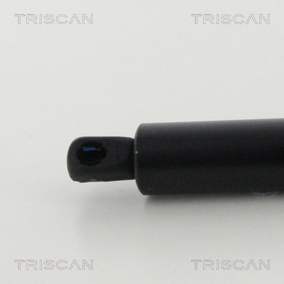 TRISCAN 8710 16276 Gasfjäder, bagageutrymme