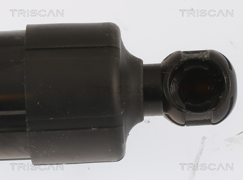 TRISCAN 8710 16302 Gasfjäder, bagageutrymme