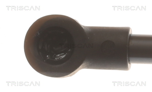 TRISCAN 8710 16306 Gasfeder, Koffer-/Laderaum