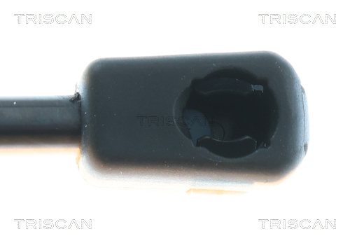 TRISCAN 8710 16309 Gasfeder, Koffer-/Laderaum