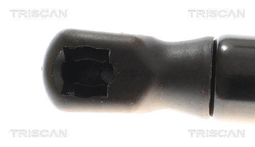 TRISCAN 8710 16310 Gasfeder, Koffer-/Laderaum