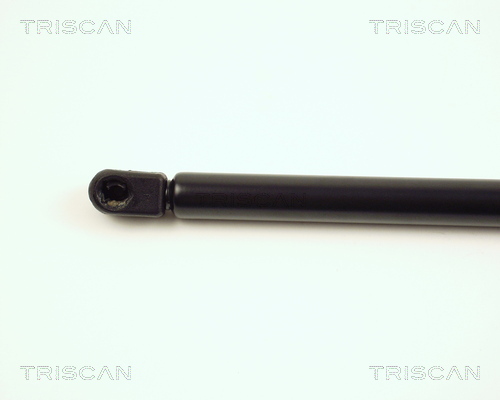 TRISCAN 8710 17100 Gasfeder, Motorhaube
