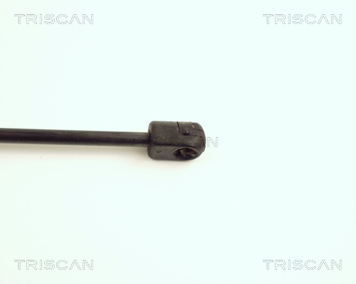 TRISCAN 8710 17100 Gasfeder, Motorhaube