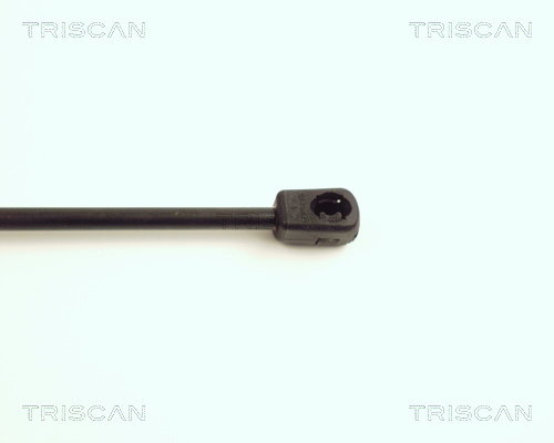 TRISCAN 8710 17101 Gasfeder, Motorhaube