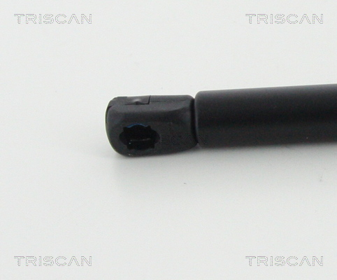 TRISCAN 8710 17106 Gasfeder, Motorhaube