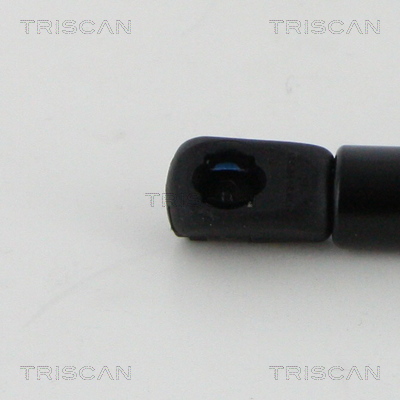 TRISCAN 8710 17108 Gasfeder, Motorhaube
