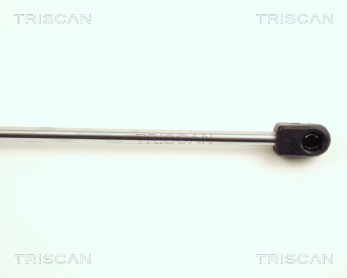 TRISCAN 8710 17202 Gasfjäder, bagageutrymme