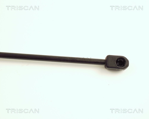 TRISCAN 8710 17205 Gasfjäder, bagageutrymme