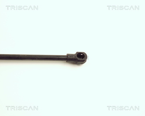 TRISCAN 8710 17210 Gasfjäder, bagageutrymme