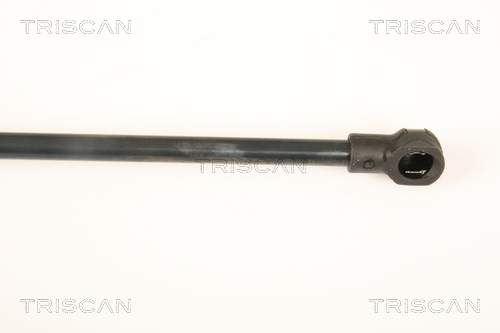 TRISCAN 8710 17215 Gasfeder, Heckscheibe