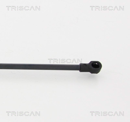 TRISCAN 8710 17219 Gasfjäder, bagageutrymme