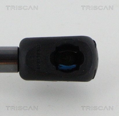 TRISCAN 8710 17222 Gasfjäder, bagageutrymme