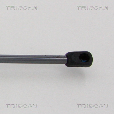 TRISCAN 8710 17223 Gasfjäder, bagageutrymme
