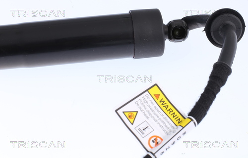TRISCAN 8710 17301 Gasfjäder, bagageutrymme