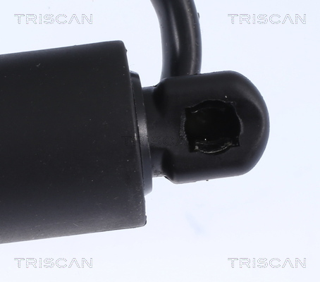 TRISCAN 8710 17302 Gasfeder, Koffer-/Laderaum
