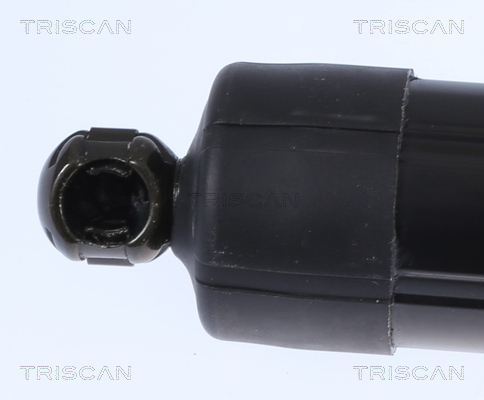 TRISCAN 8710 17303 Gasfjäder, bagageutrymme