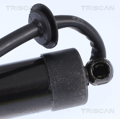 TRISCAN 8710 17303 Gasfjäder, bagageutrymme