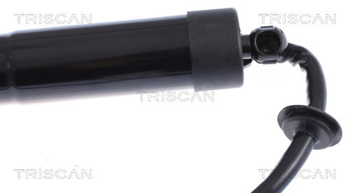TRISCAN 8710 17305 Gasfeder, Koffer-/Laderaum
