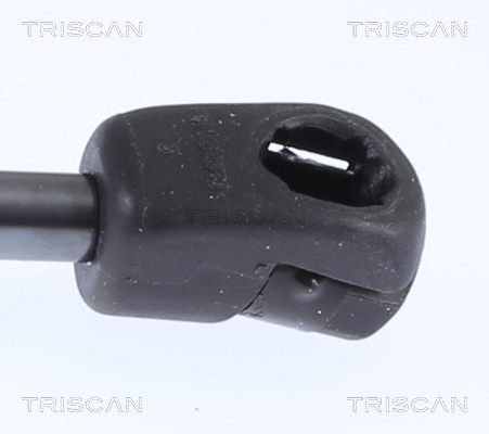 TRISCAN 8710 18103 Gasfeder, Motorhaube