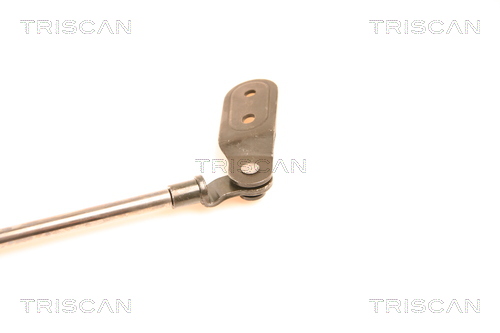 TRISCAN 8710 18200 Gasfjäder, bagageutrymme