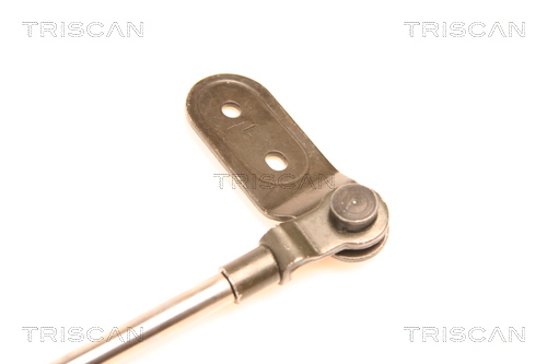 TRISCAN 8710 18201 Gasfjäder, bagageutrymme