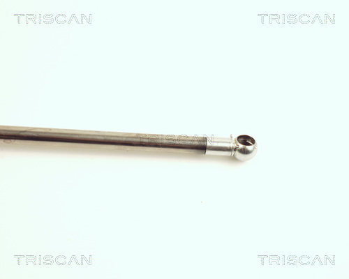 TRISCAN 8710 18202 Gasfjäder, bagageutrymme