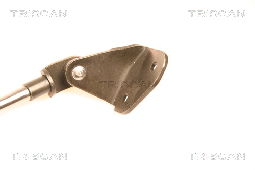 TRISCAN 8710 18204 Gasfjäder, bagageutrymme