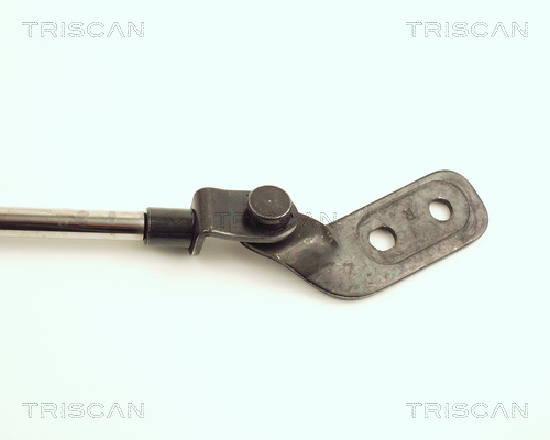 TRISCAN 8710 18206 Gasfjäder, bagageutrymme