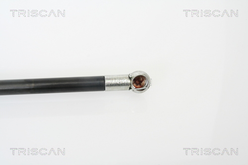 TRISCAN 8710 18216 Gasfeder, Koffer-/Laderaum