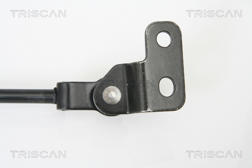 TRISCAN 8710 18222 Gasfjäder, bagageutrymme