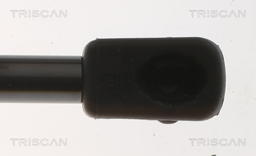 TRISCAN 8710 18224 Gasfjäder, bagageutrymme