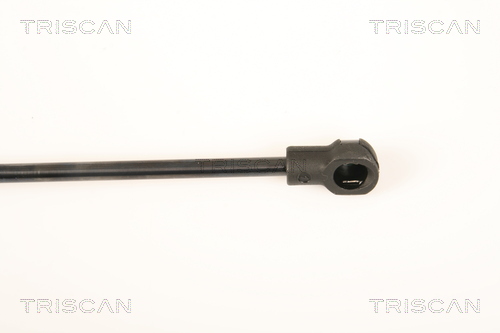 TRISCAN 8710 18229 Gasfeder, Heckscheibe