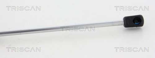 TRISCAN 8710 18231 Gasfeder, Heckscheibe