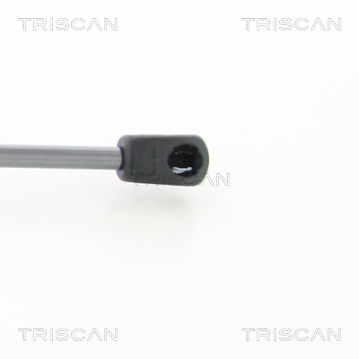 TRISCAN 8710 18241 Gasfjäder, bagageutrymme