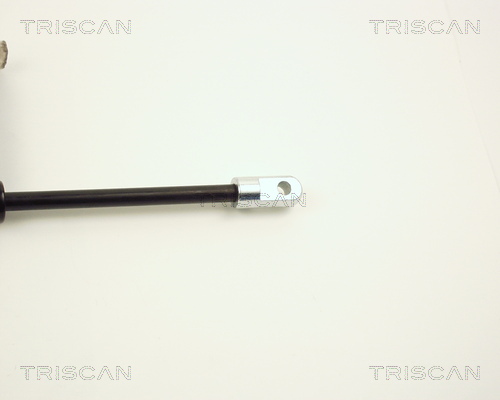 TRISCAN 8710 2001 Gasfeder, Motorhaube
