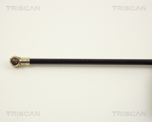 TRISCAN 8710 2002 Gasfeder, Motorhaube