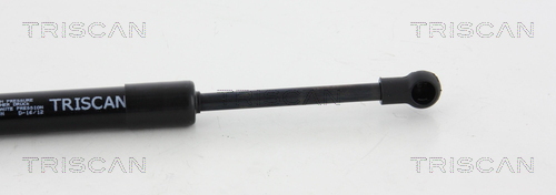 TRISCAN 8710 20106 Gasfeder, Motorhaube