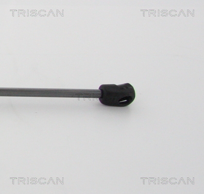 TRISCAN 8710 20110 Gasfeder, Motorhaube