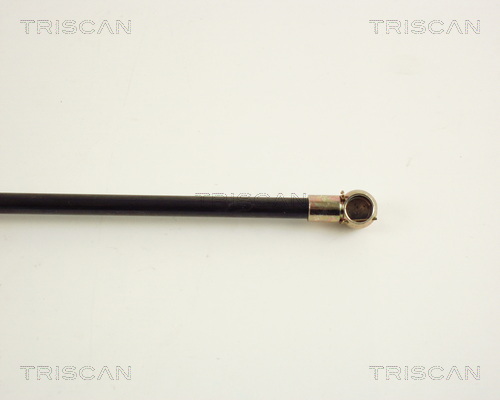 TRISCAN 8710 20200 Gasfjäder, bagageutrymme