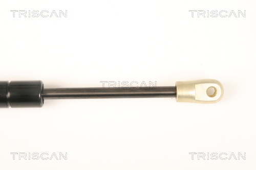 TRISCAN 8710 20202 Gasfjäder, bagageutrymme
