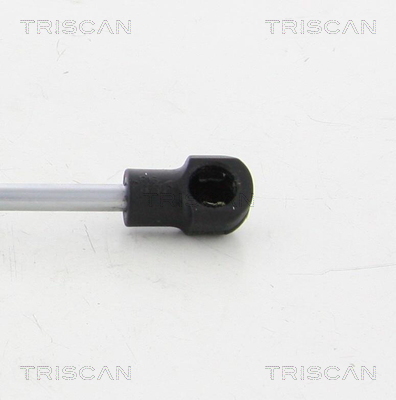 TRISCAN 8710 20203 Gasfjäder, bagageutrymme
