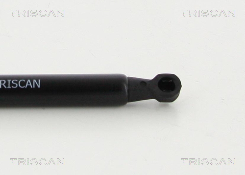 TRISCAN 8710 20206 Gasfjäder, bagageutrymme