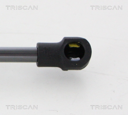 TRISCAN 8710 20207 Gasfjäder, bagageutrymme