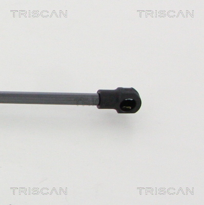 TRISCAN 8710 20208 Gasfjäder, bagageutrymme