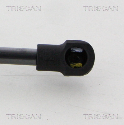 TRISCAN 8710 20210 Gasfjäder, bagageutrymme