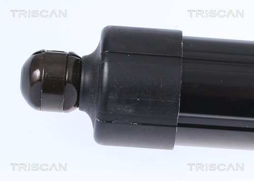 TRISCAN 8710 20302 Gasfjäder, bagageutrymme